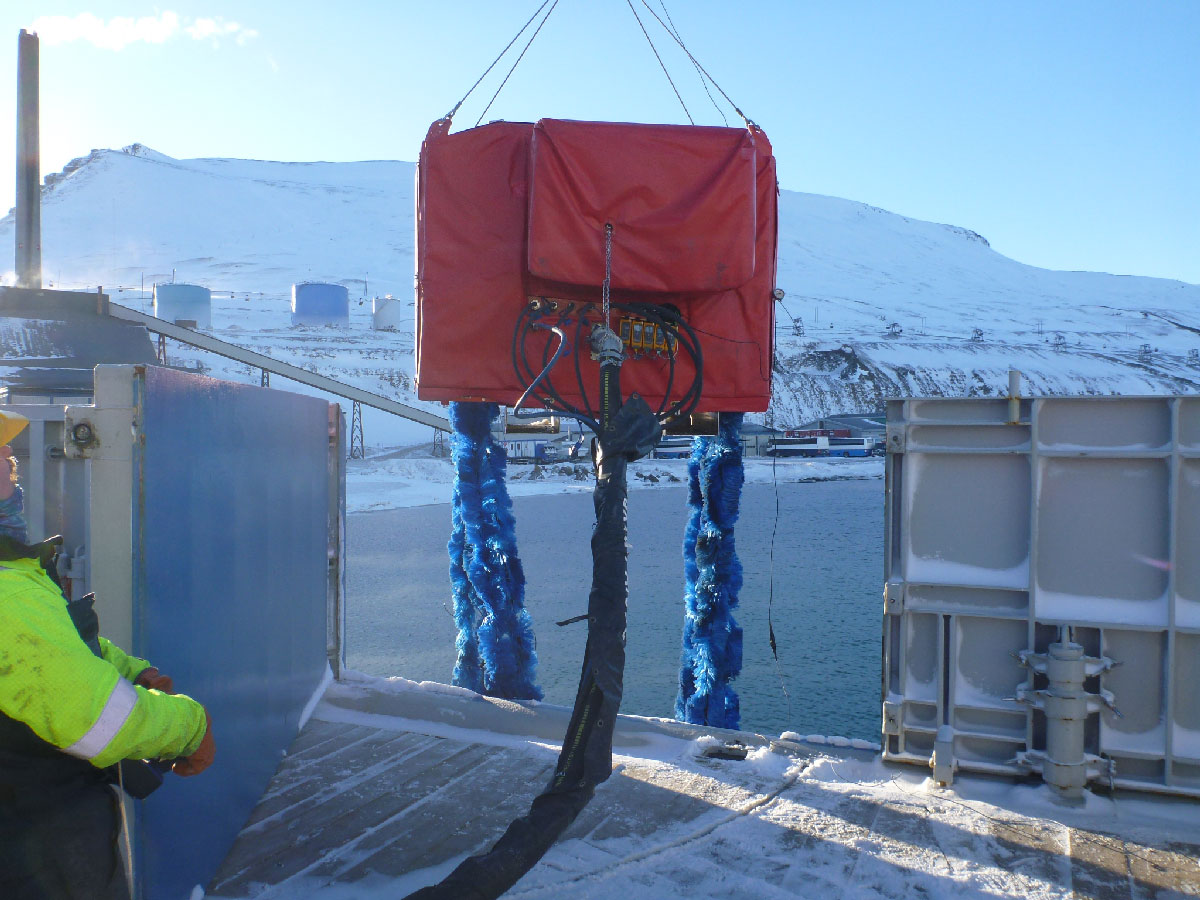 Arctic FoxTail from Henriksen on ship